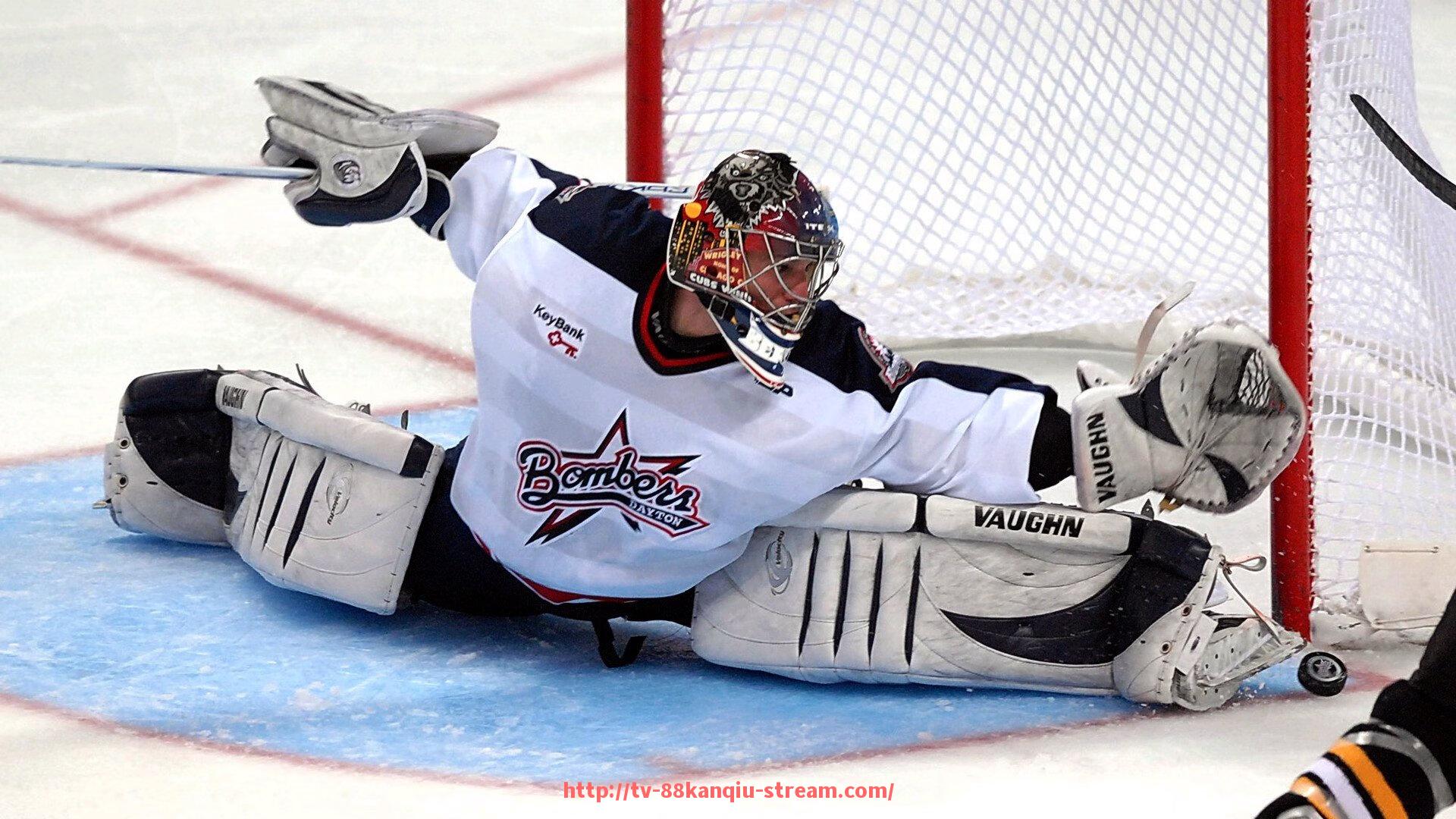 88看球网-德甲与德乙球队最新阵容更新及实力变化